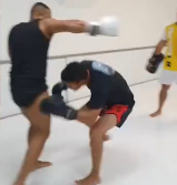 Boxe Chinês