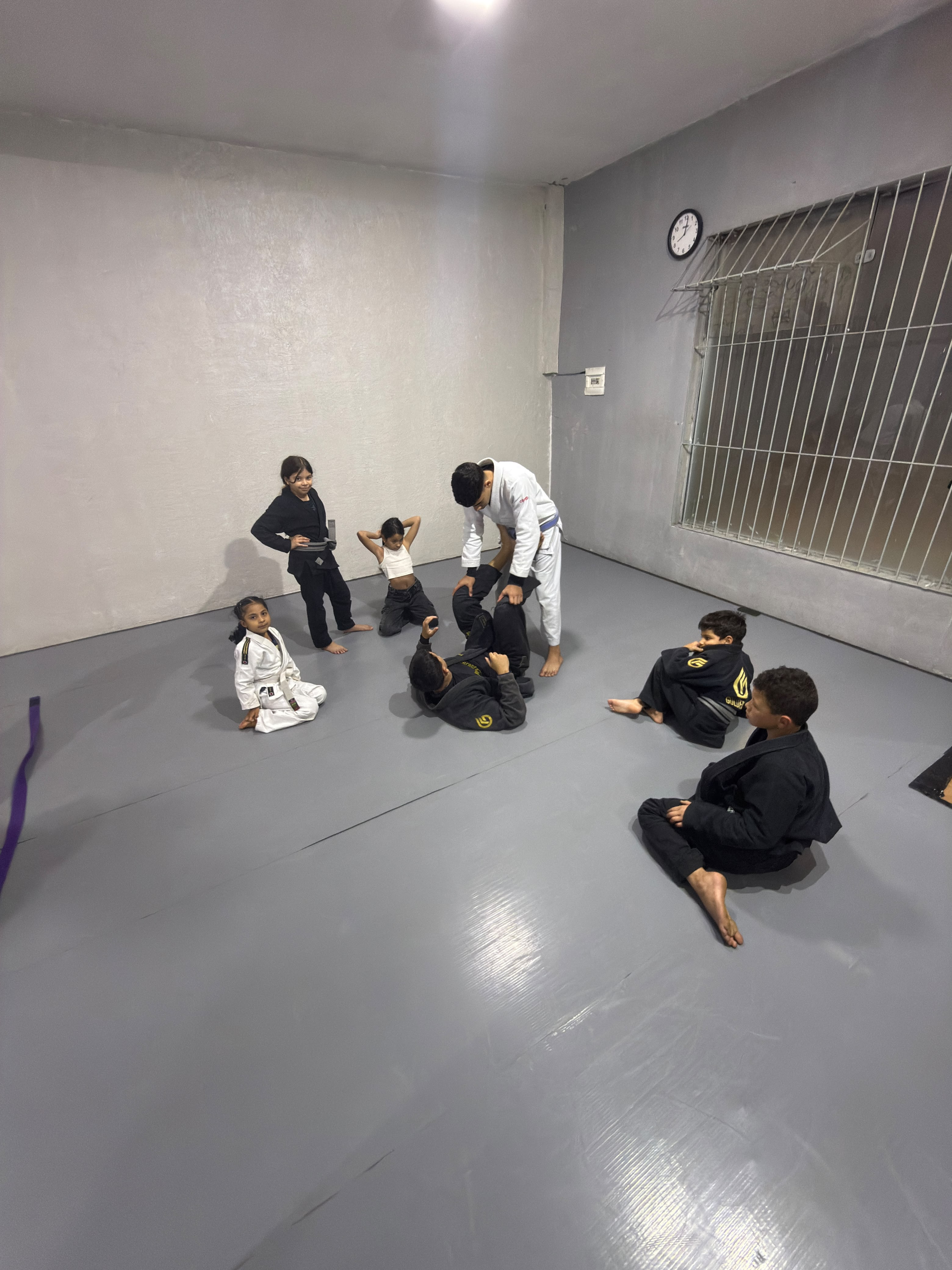 Jiu-Jitsu Infantil (Kids)